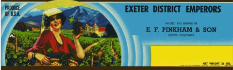 Exeter District Emperors